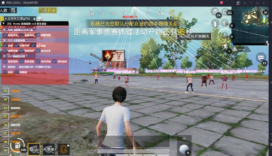 和平精英迪达拉Pro辅助